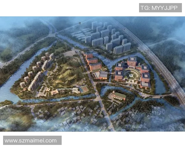 杭州排球队的阵地战体系与战术创新研究分析