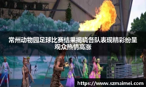 常州动物园足球比赛结果揭晓各队表现精彩纷呈观众热情高涨