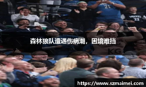 森林狼队遭遇伤病潮，困境难挡