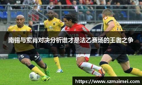 南锡与索肖对决分析谁才是法乙赛场的王者之争